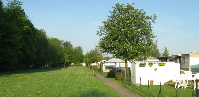 bastogne campsite showing trees, the grass covered field and static caravans